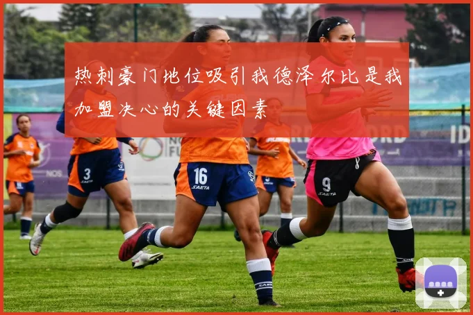 热刺豪门地位吸引我德泽尔比是我加盟决心的关键因素