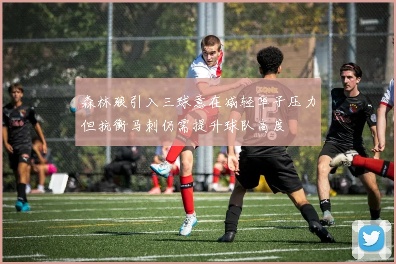 森林狼引入三球意在减轻华子压力但抗衡马刺仍需提升球队高度